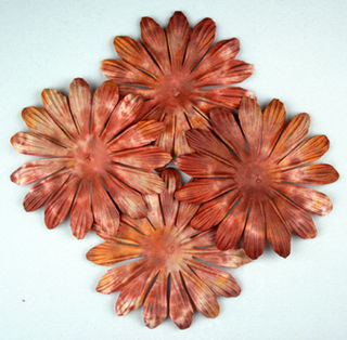 Flowers, Petals & Leaves
