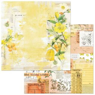 49 and Market - Classics - Lemonade 12x12 Paper