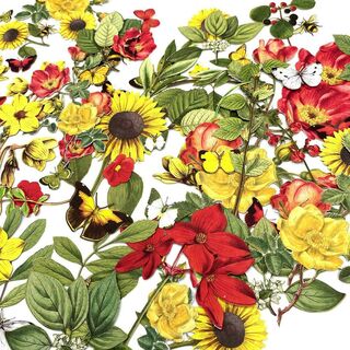 49 and Market - Countryside Laser Cut Wildflowers
