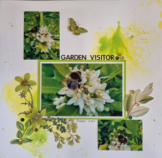 Garden Visitor by Carrie