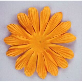 Flowers, Petals & Leaves for Scrapbooking & Cardmaking