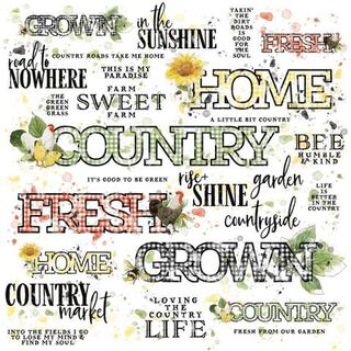 49 and Market - 12x12 Countryside Sentiments Rub Ons